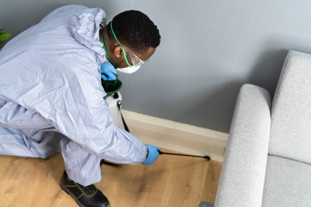 Best Fumigation Services  in Fearrington Village, NC